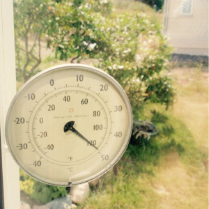 Hot Summer in Stockholm Hot in Stockholm