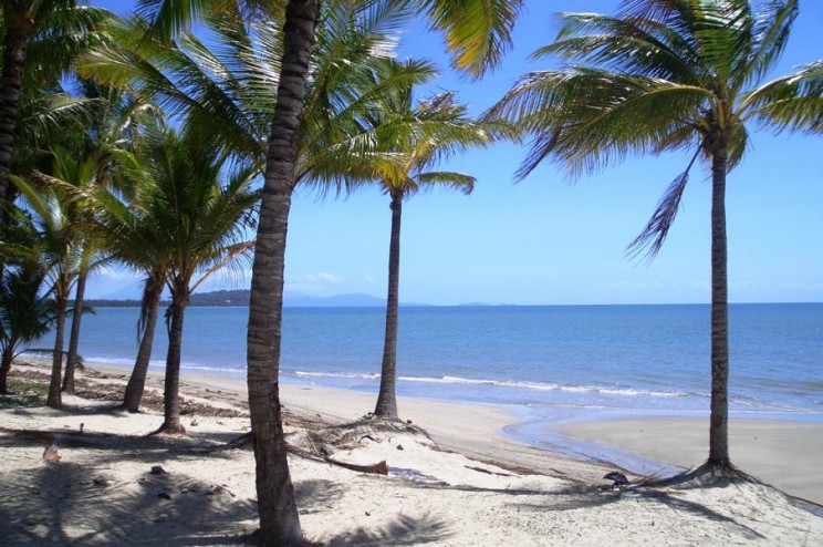 Palm Cove Queensland Cairns