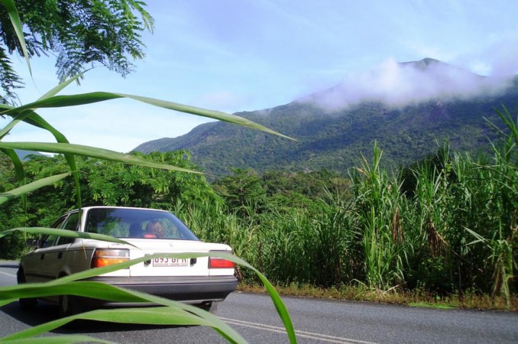 Road trip Dainree National Park - Cape tripultaion