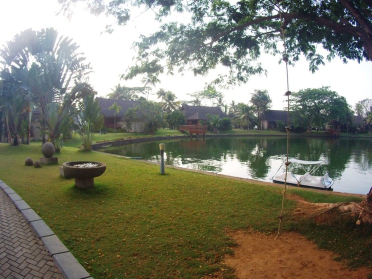the zuri kerala