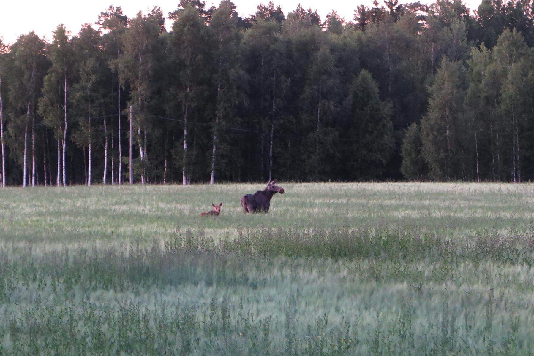Kolarbyn Eco Lodge Ökotourismus in Västmanland Schweden