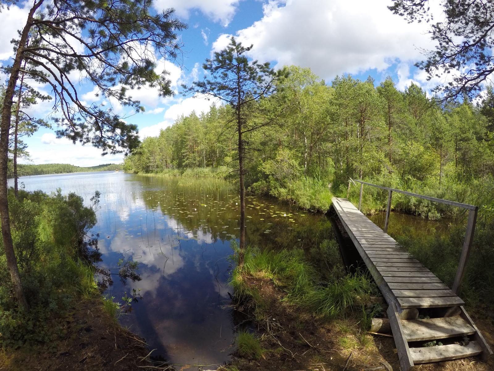 Västmanland-Kolarbyn-Eco-Lodge-Schweden-Öko-Tourismus-Erfahrungsbericht