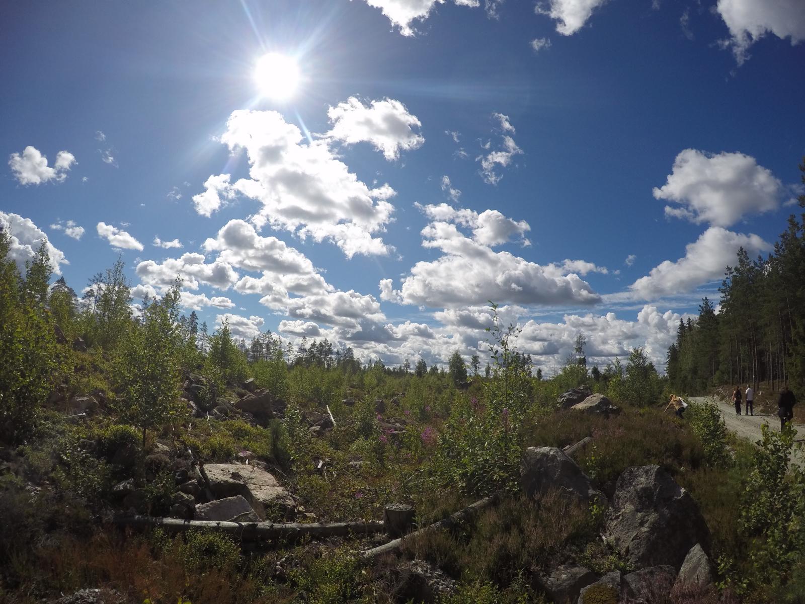 Kolarbyn Eco Lodge Ökotourismus in Västmanland Schweden