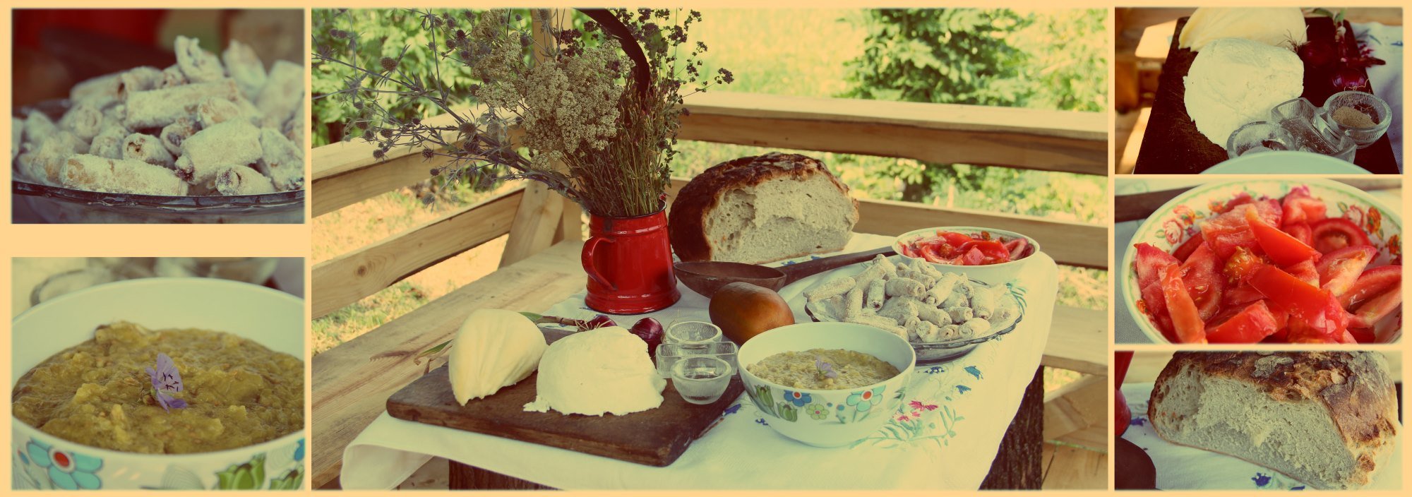 Bio Retreat BnB Rumänien Siebenbürgen Andreas Pohl