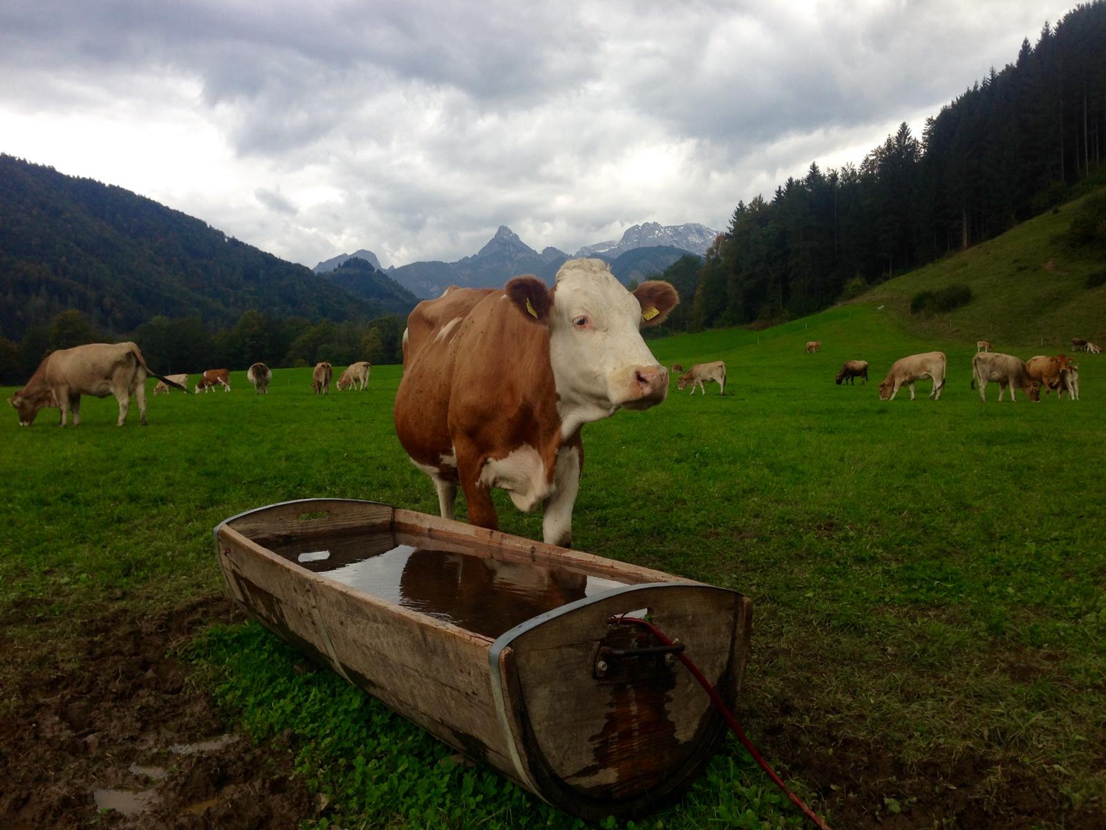 Geheimtipp: #Gesäuse in Österreich