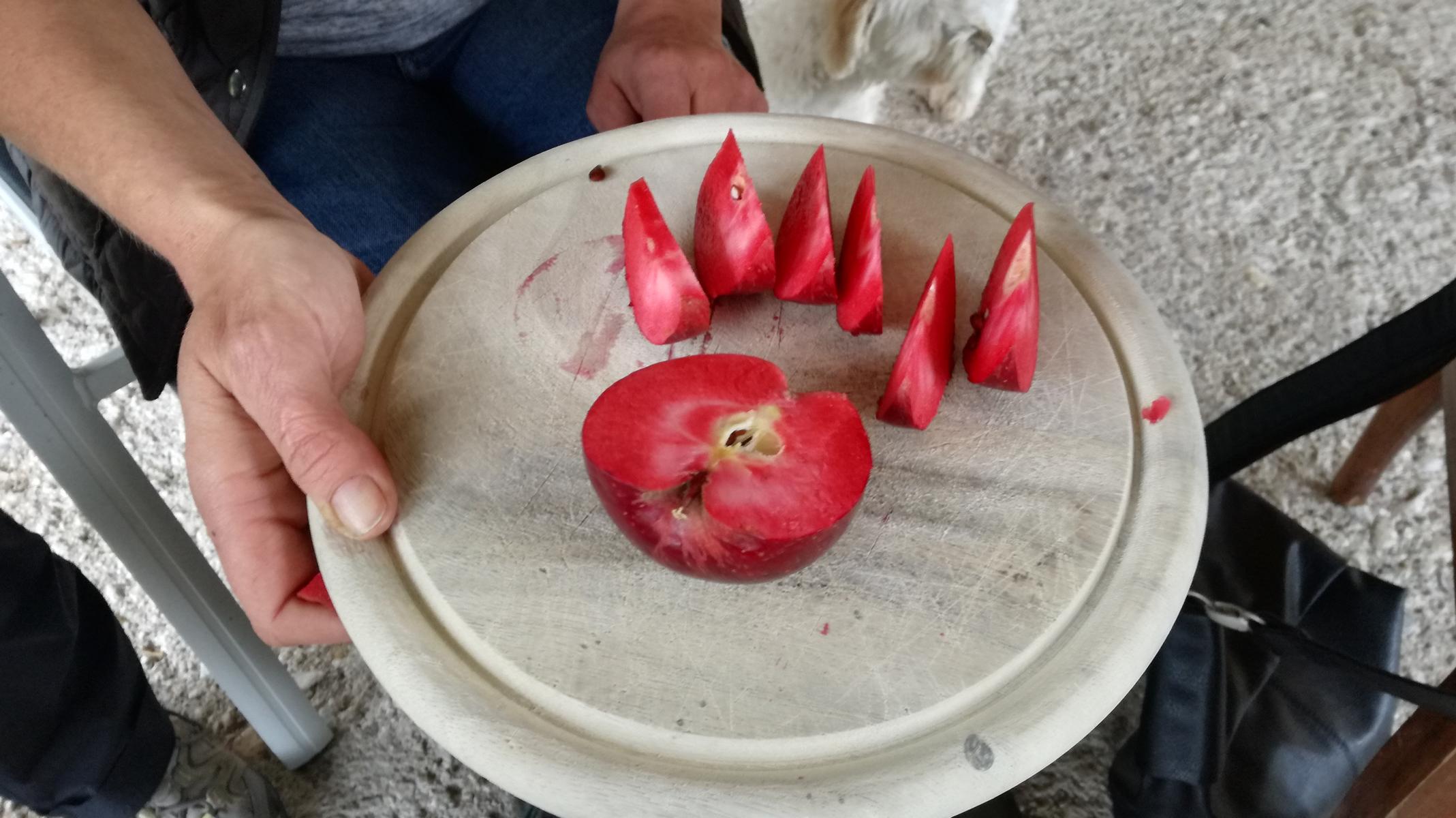 Geheimtipp: #Gesäuse in Österreich