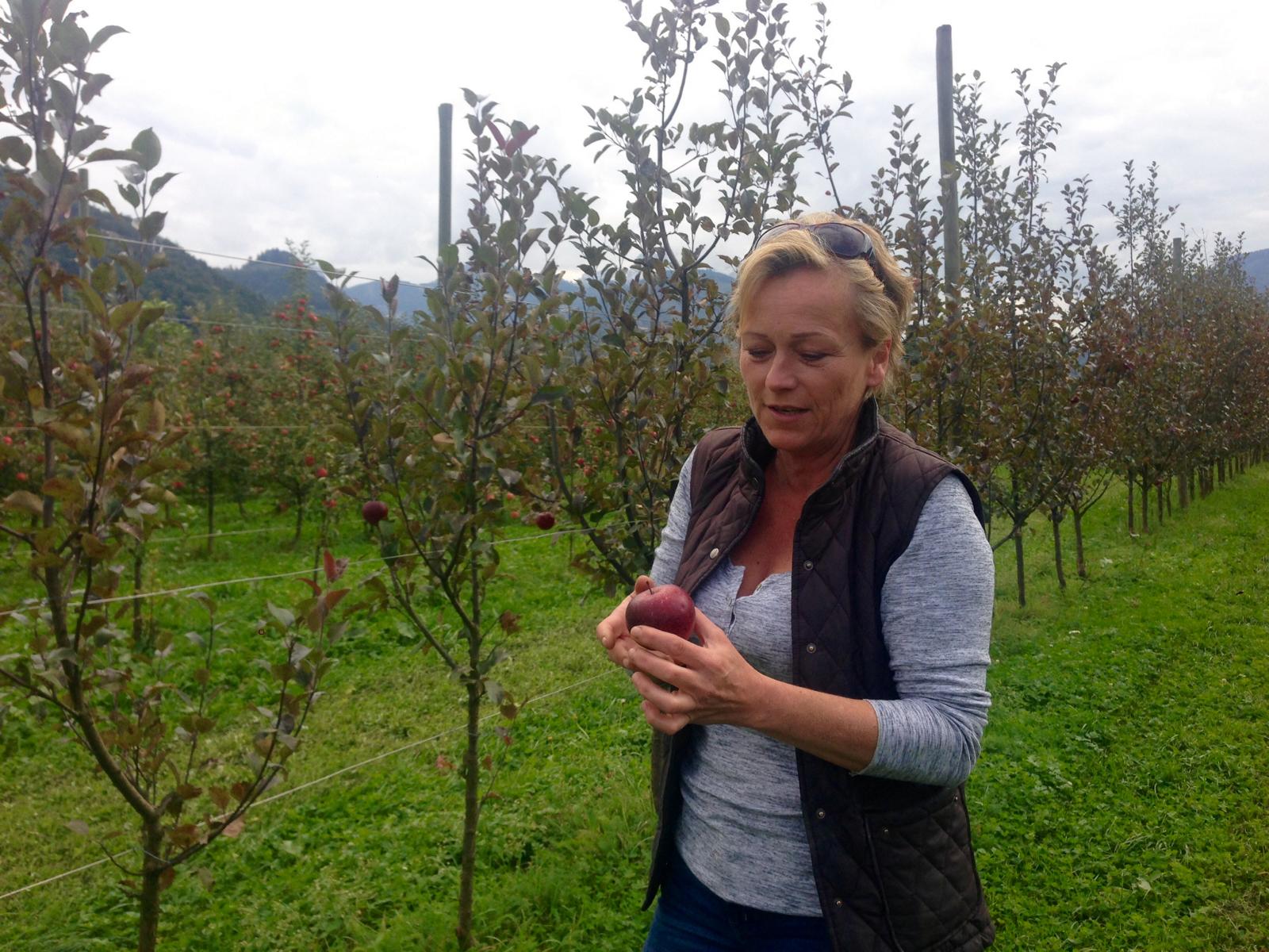 Geheimtipp: #Gesäuse in Österreich