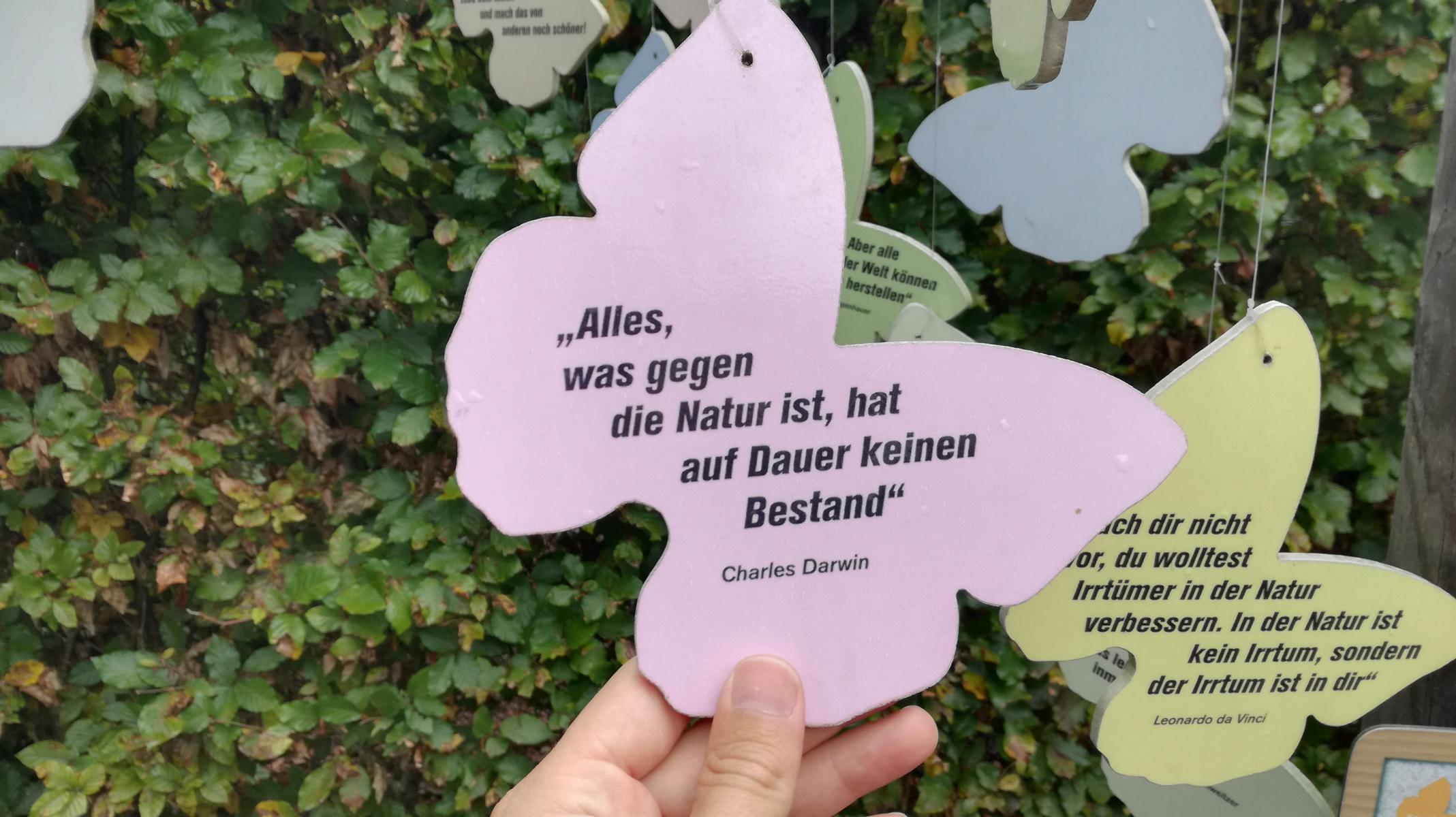 Geheimtipp: #Gesäuse in Österreich