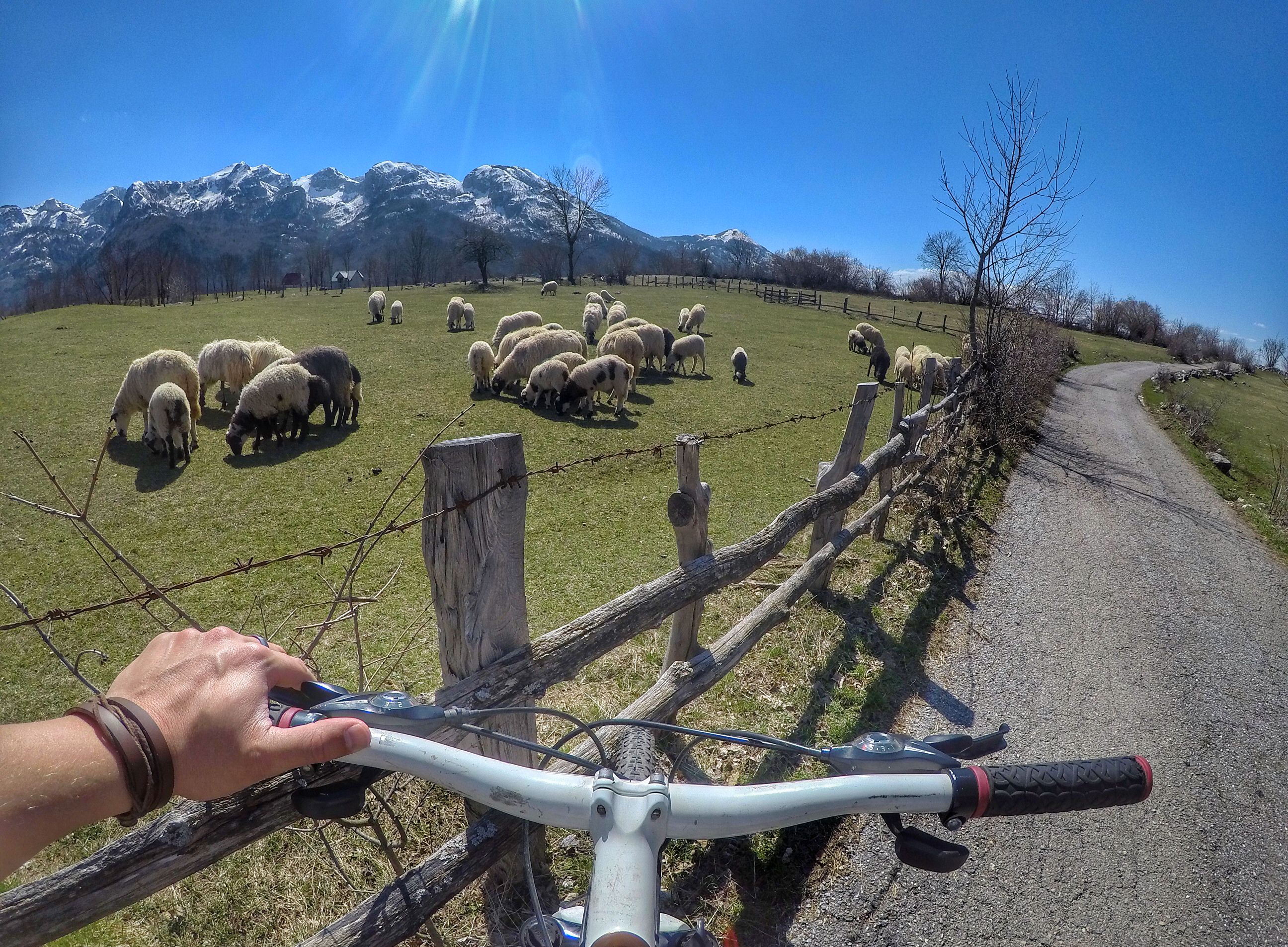 Radfahren - Mountainbiking in Montenegro Top Trails 4