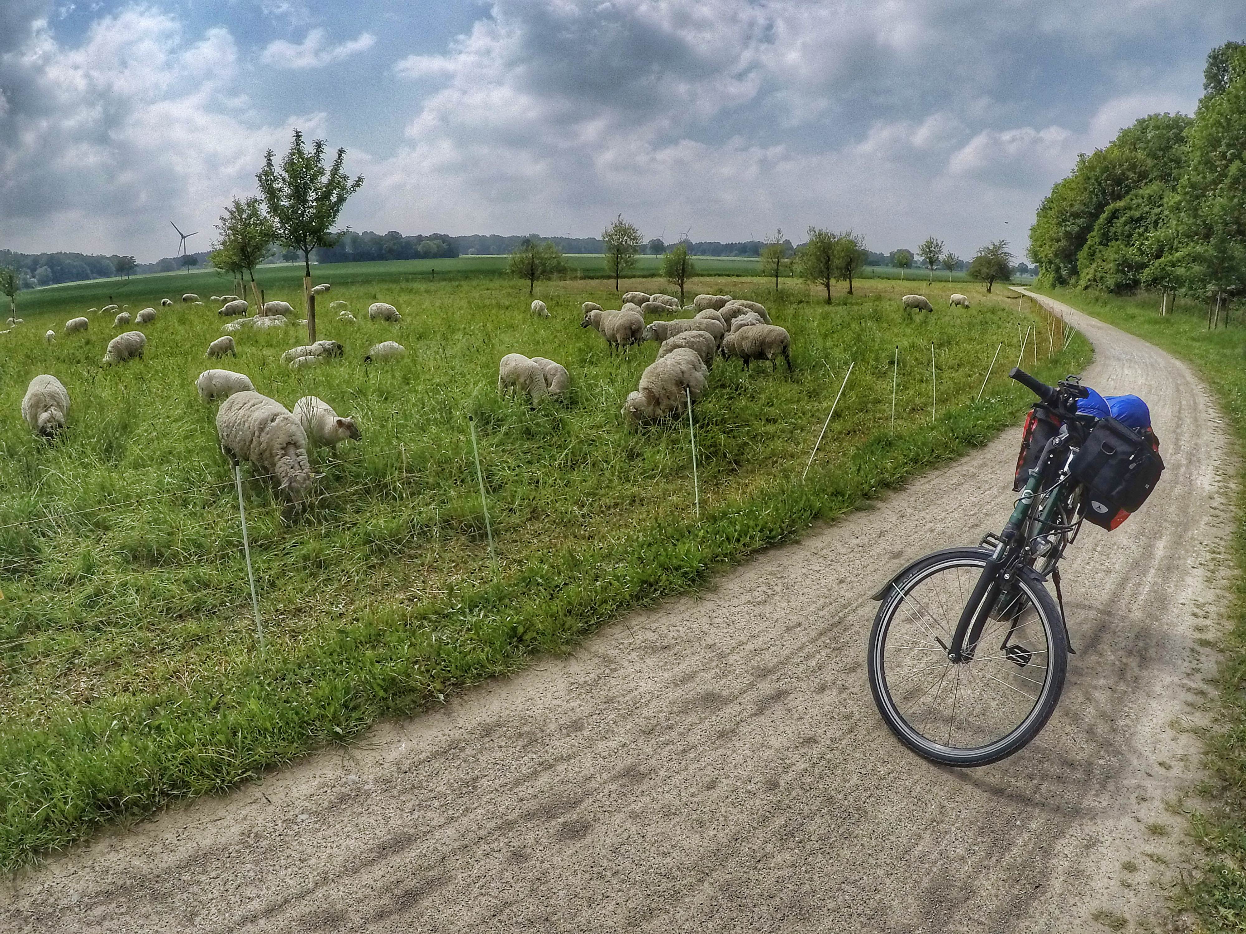 Entlang des Werse Radwegs