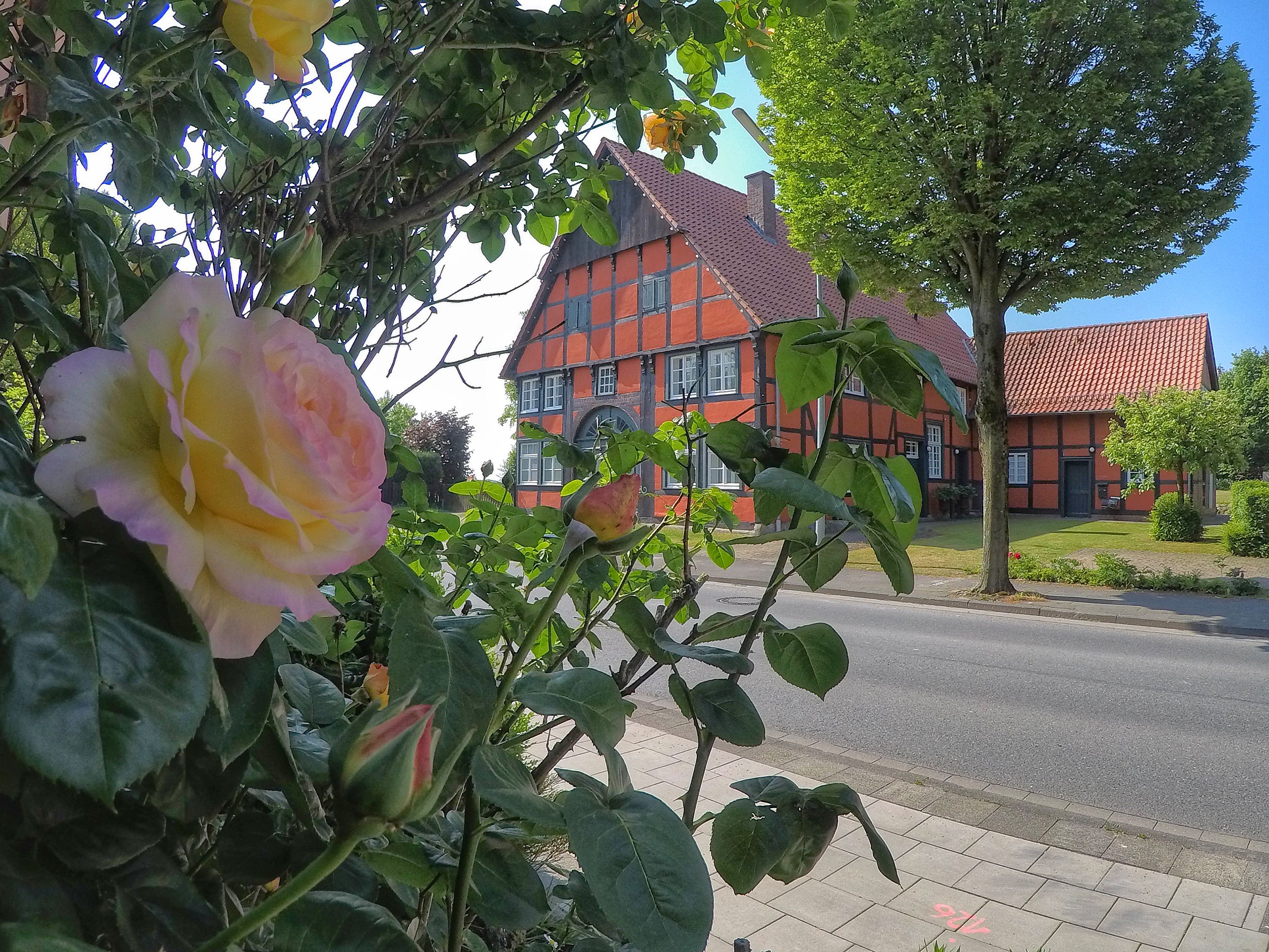 Fachwerkhäuser Münsterland