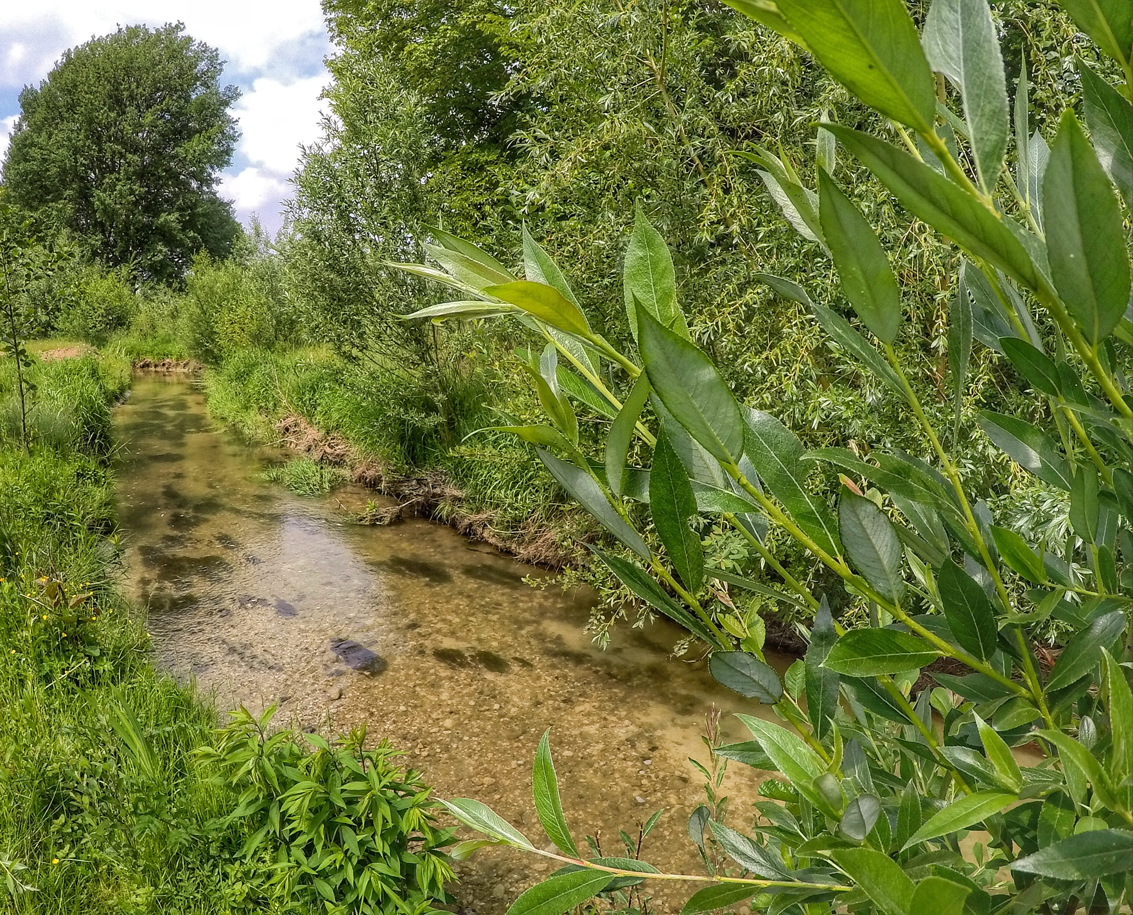 Werse Radweg und 100 Schlösser Route