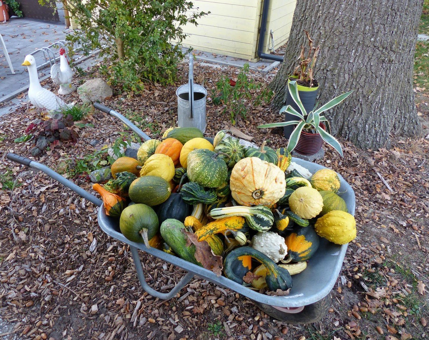 Radtour 100 Schlösser Route Münsterland - Südkurs